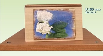 U/100 R - ROSA